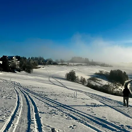 Astenblick With Sauna Lägenhetshotell Winterberg